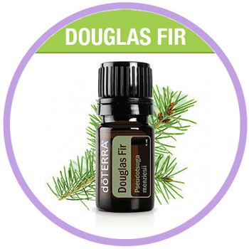 Douglas Fir Essential Oil