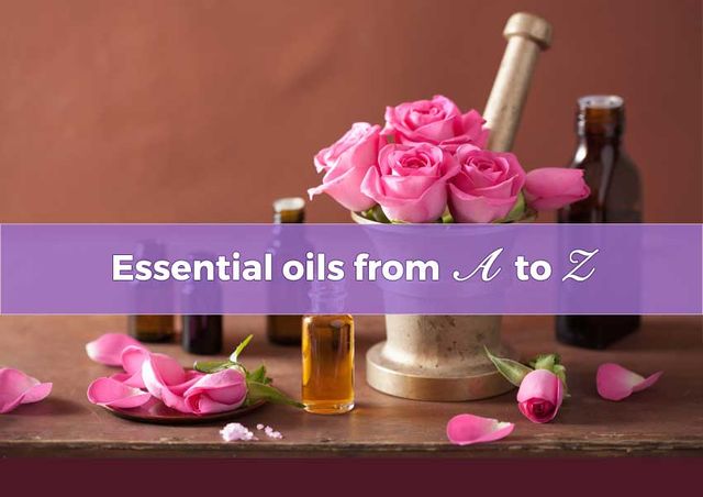 Essential Oils From A to Z