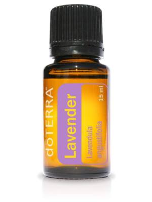 Lavender Essential Oil