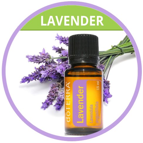 Lavender Essential Oil