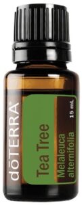 Tea Tree Melaleuca Essential Oil