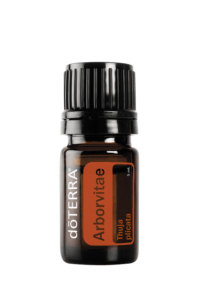 Arbovitae essential oil