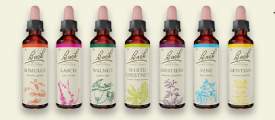 Back Flower Remedies